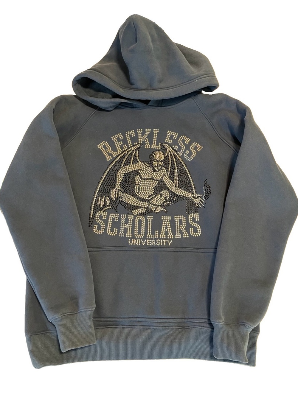 Reckless Scholars University Hoodie Sweatshirt Medium Pullover RARE Relaxed Fit
